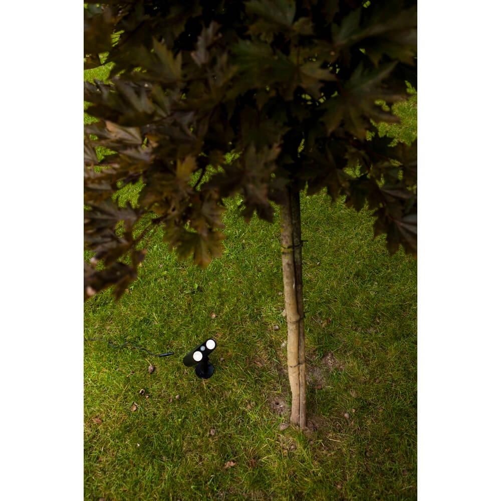 Solar garden spike light Bingo with motion sensor Lutec 6939412089980