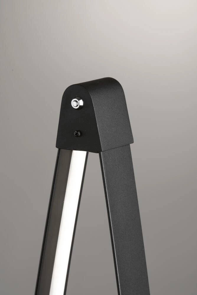 Floor lamp Fenga black Fischer & Honsel 4003694405034