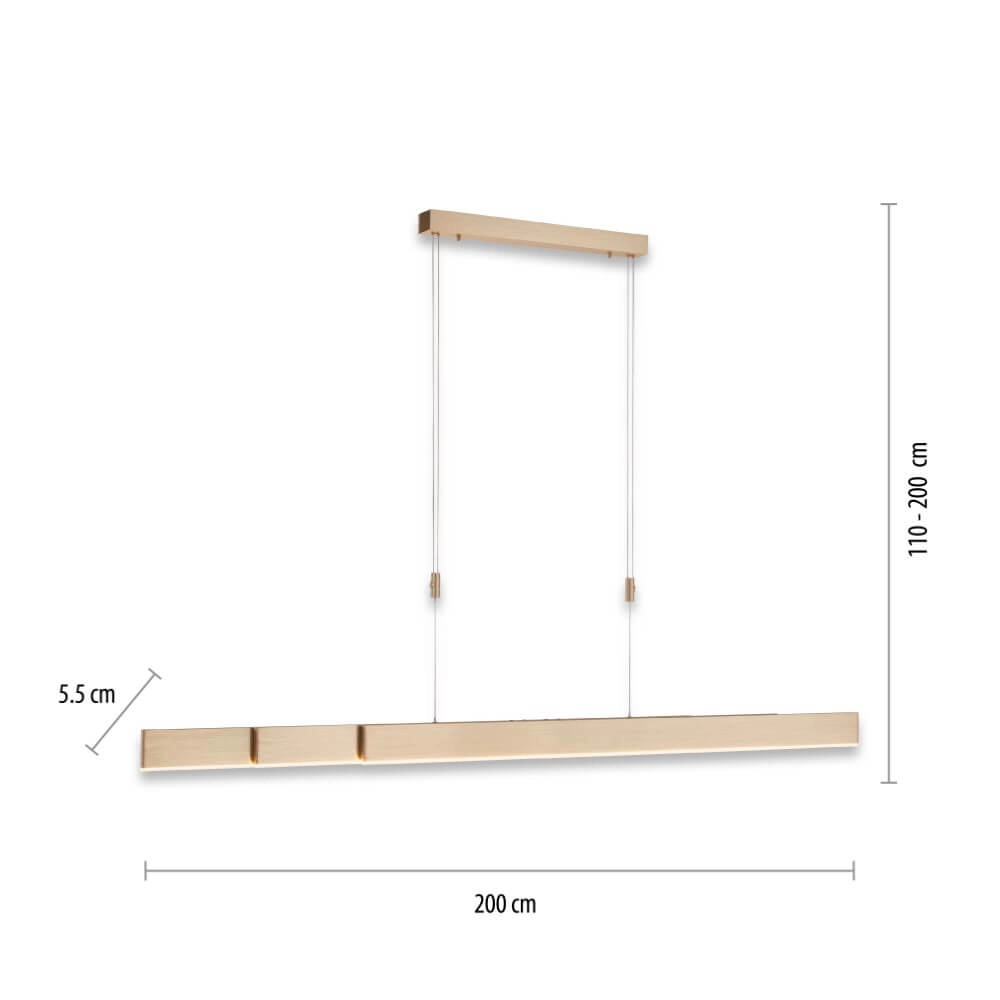LED hanging lamp Pure-Moto brass matt Paul Neuhaus 4012248363768