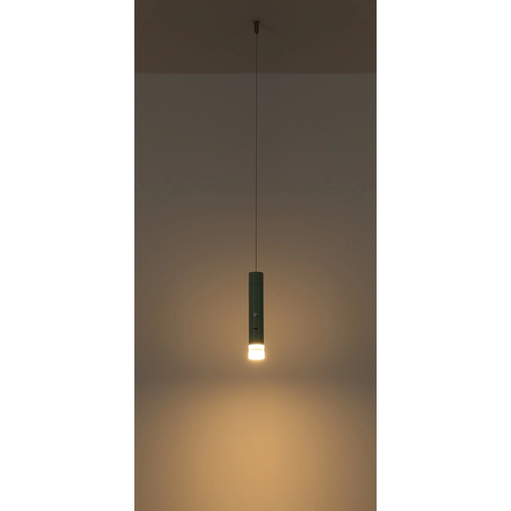 Sleek pendant lamp Pelo Green Globo 9007371569359