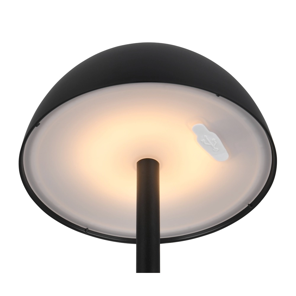 Table lamp Ricardo black Ø 13.5cm Trio 4017807601794