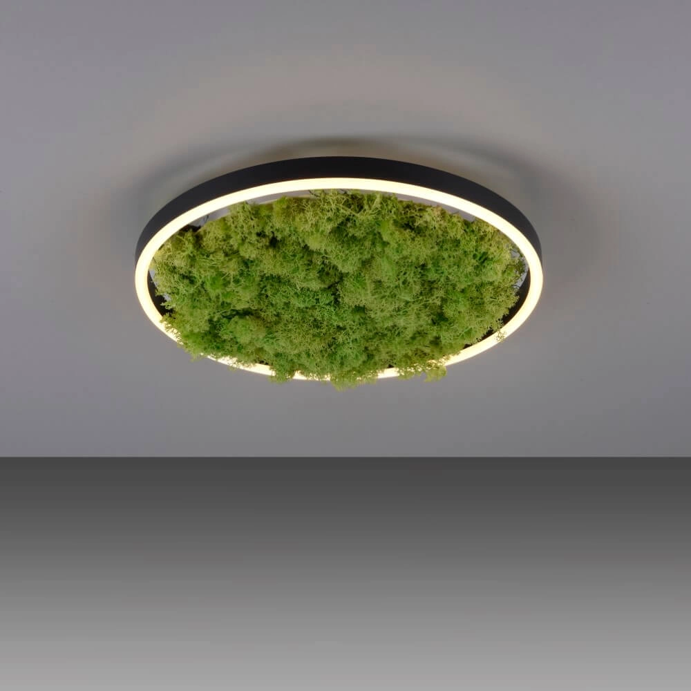 Ceiling lamp Green Ritus with moss Ø 39,3cm Just Light 4043689994792