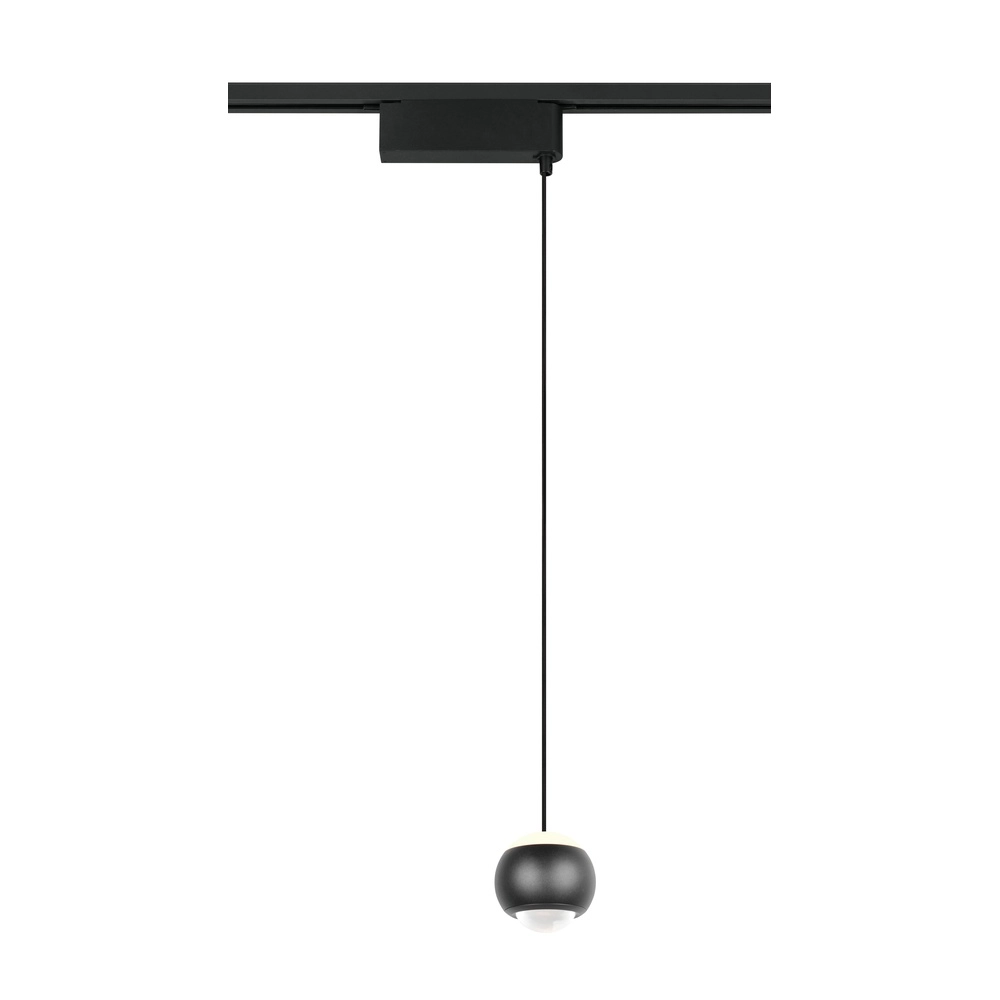 Pendant light for rail Hamlet Black 2-phase Trio 4017807662948
