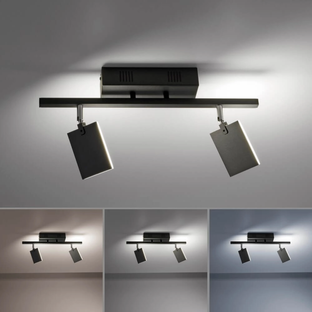 Ceiling lamp Pure Mira 2-light black Paul Neuhaus 4012248359433