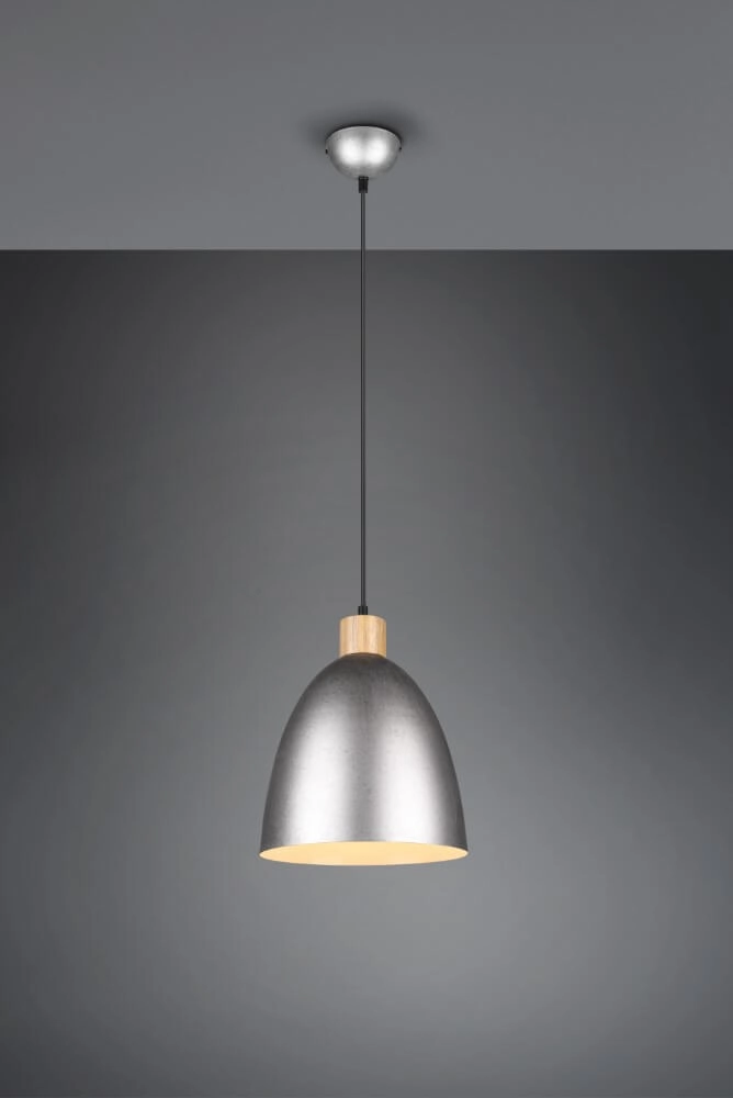 Hanging lamp Jagger Stainless steel with wood brown Trio 4017807503203