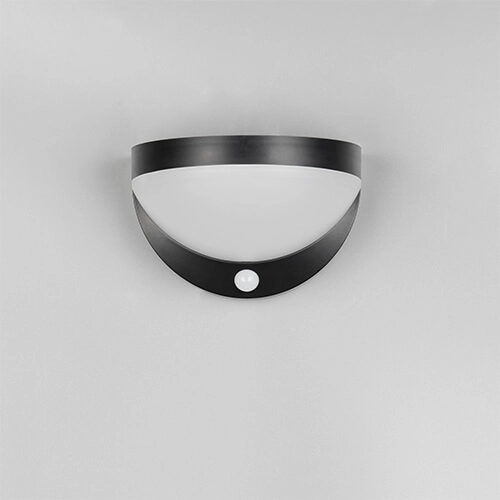 Solar wall lamp Cobre with motion sensor Trio 4017807622553