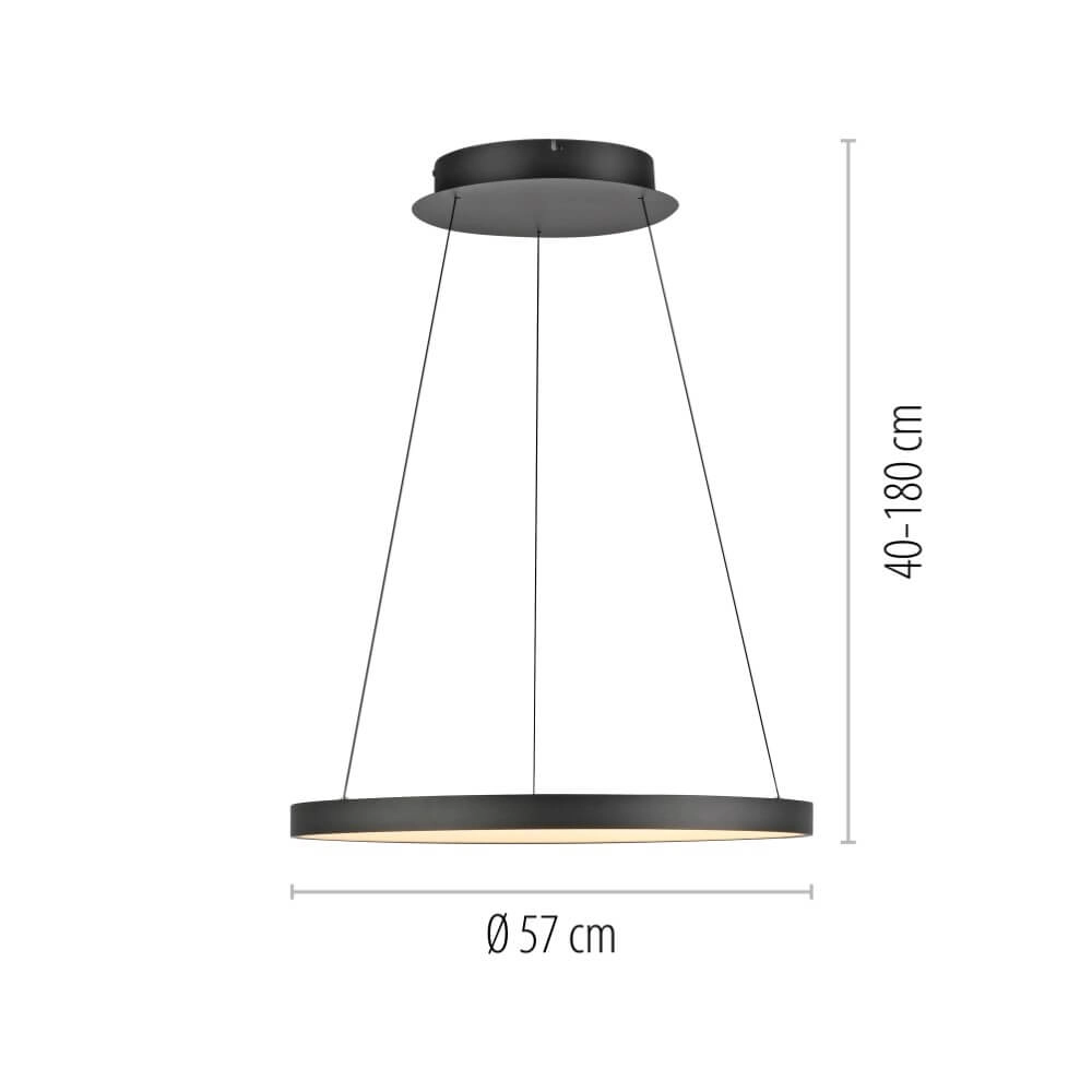 Round pendant lamp Hoop black Paul Neuhaus 4012248384695
