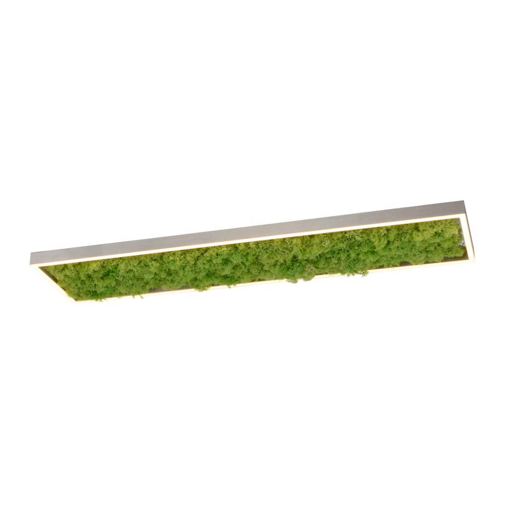 Rectangular ceiling lamp Green Knut with moss
