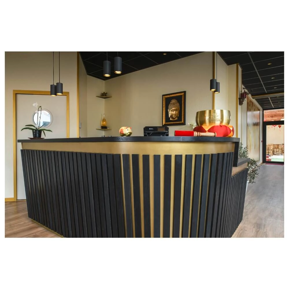 Pendant Pendant Lamp Asto Tube black 2x GU10 SLV 4024163266079