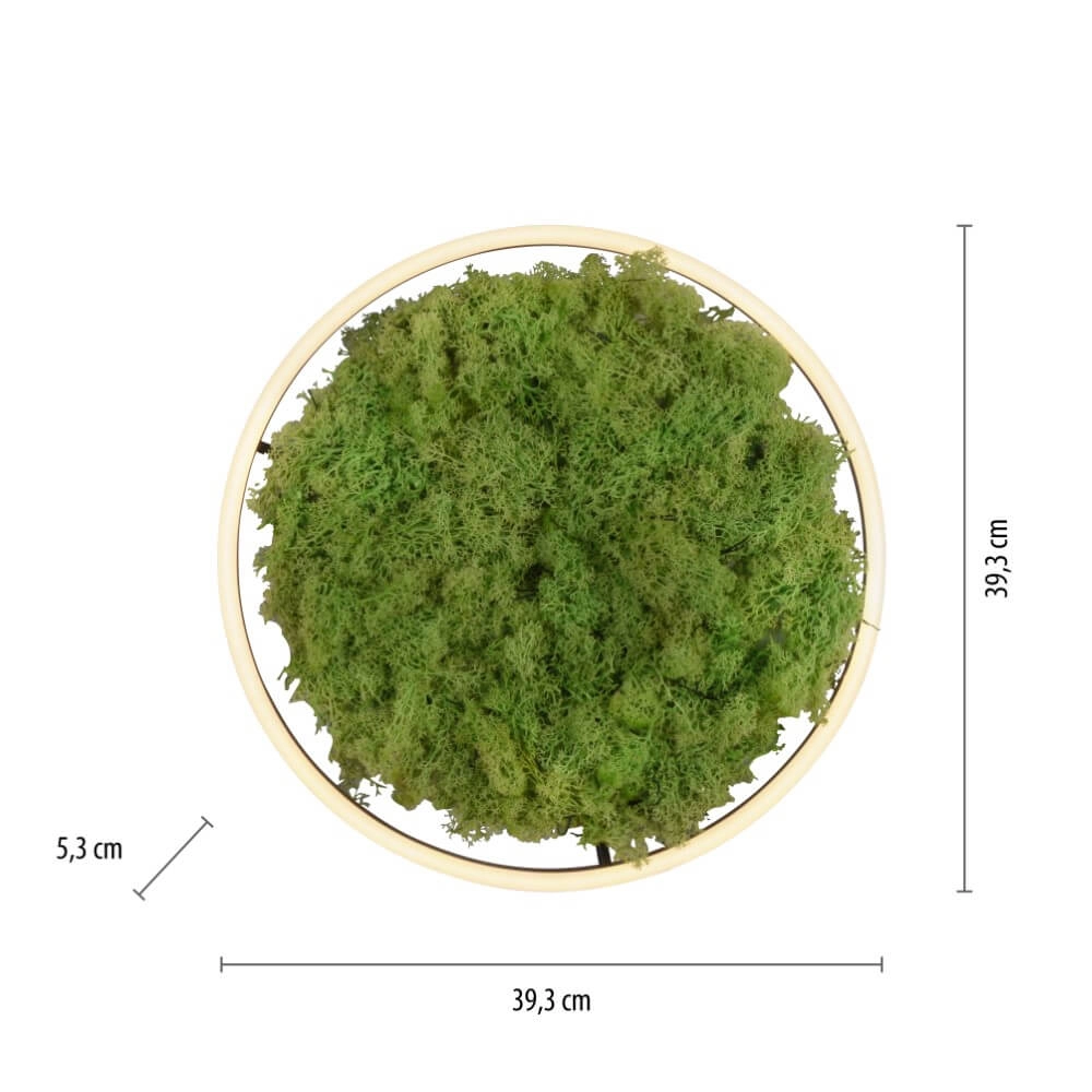 Ceiling lamp Green Ritus with moss Ø 39,3cm Just Light 4043689994792