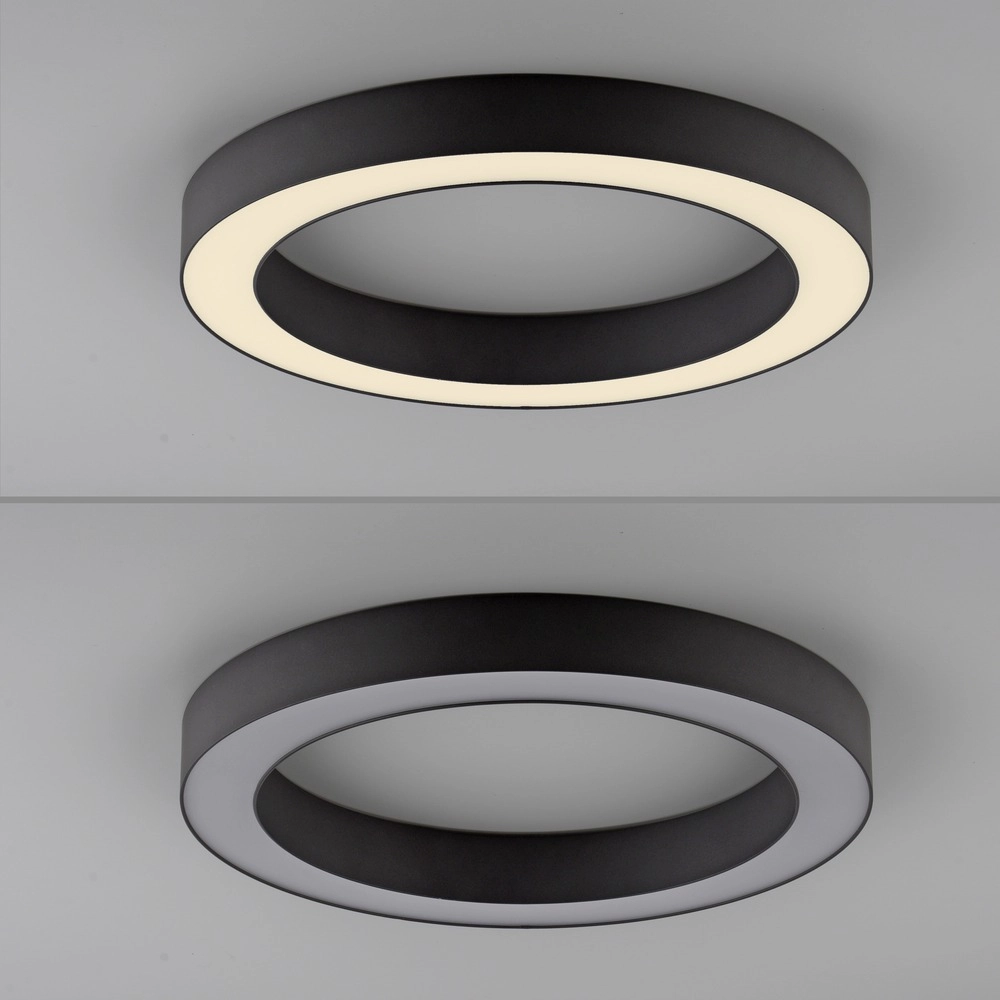 Sleek led ceiling lamp Pure Lines Round Ø 35cm - graphite Paul Neuhaus 4012248395219