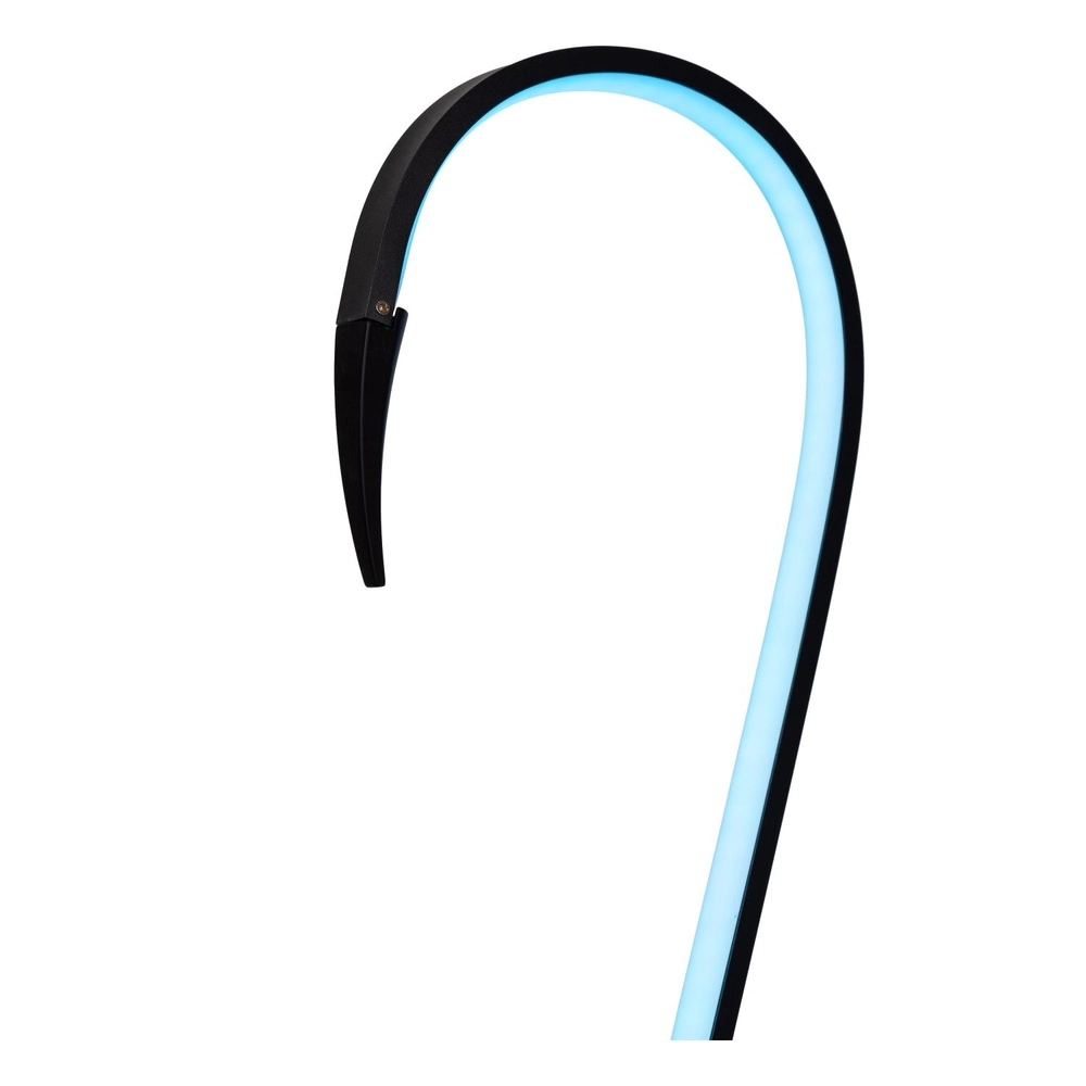 Floor lamp Flamingo Black Lucide 5411212051547