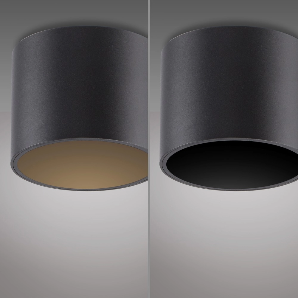 Ceiling surface-mounted spot Pure Point Ø 11cm - black pearl Paul Neuhaus 4012248395646