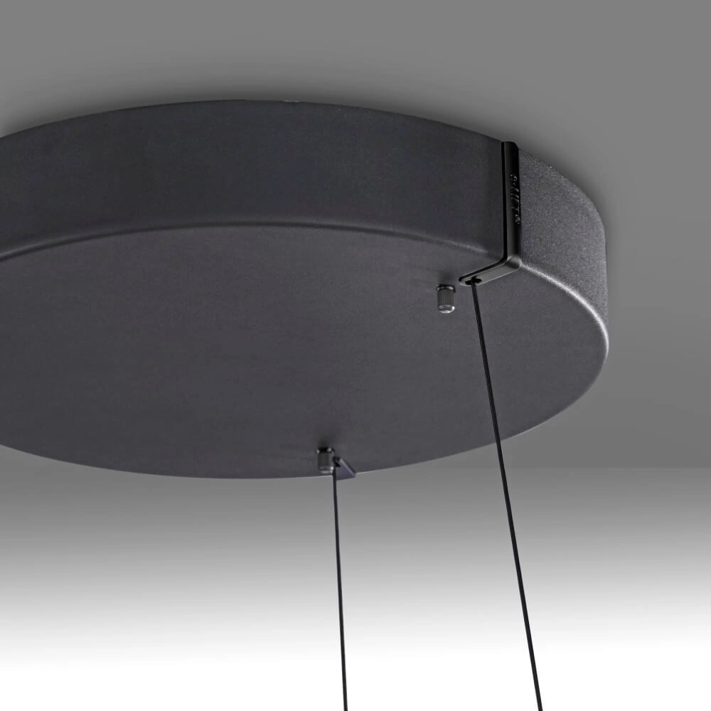 Sleek hanging lamp Pure E-Loop black Ø 70cm Paul Neuhaus 4012248384336