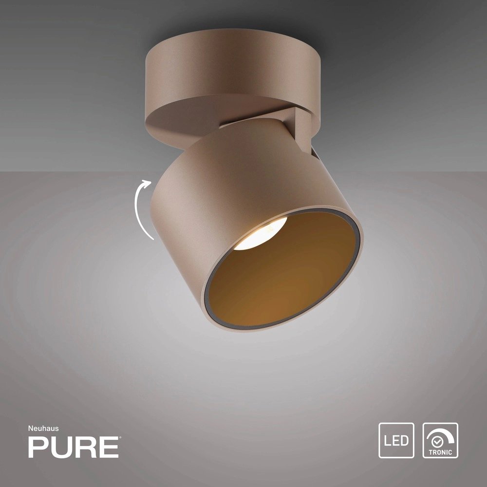Sleek surface-mounted spot Pure Cup Bronce Paul Neuhaus 4012248395592