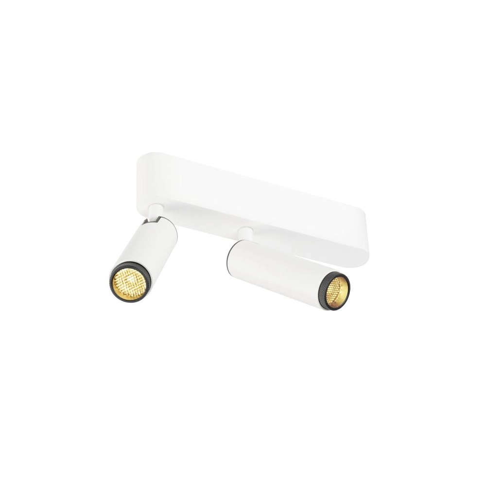 Surface-mounted spot Grip! S 2-light white 3000K