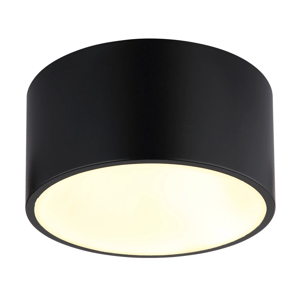 Ceiling lamp Raymond Black