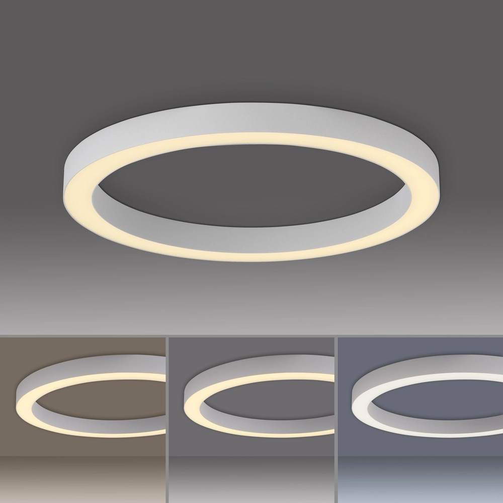 Sleek led ceiling lamp Pure Lines Round Ø 50cm - white Paul Neuhaus 4012248395806