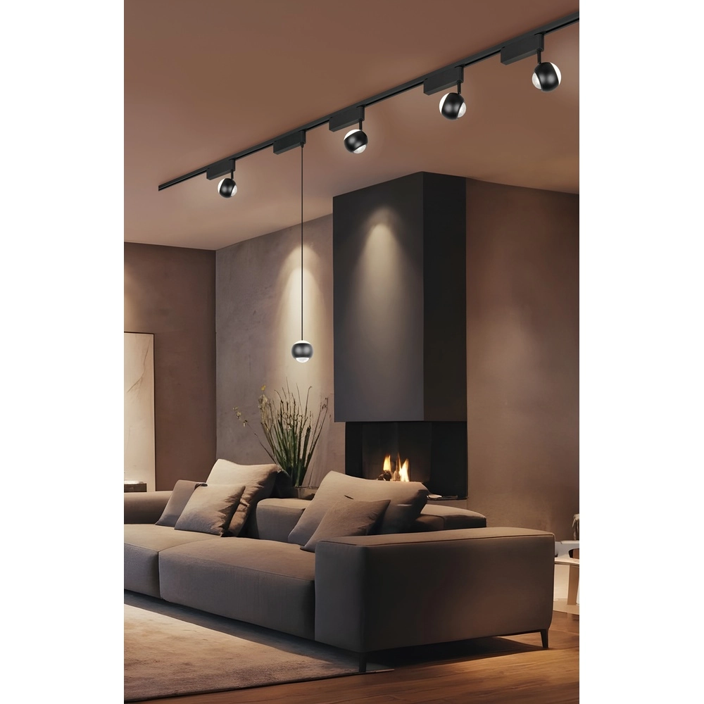 Pendant light for rail Hamlet Black 2-phase Trio 4017807662948