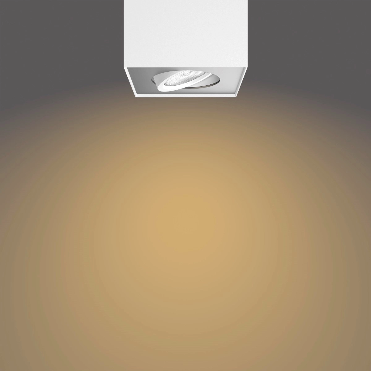 Spot lamp Box 4-light white Philips 8718696164549