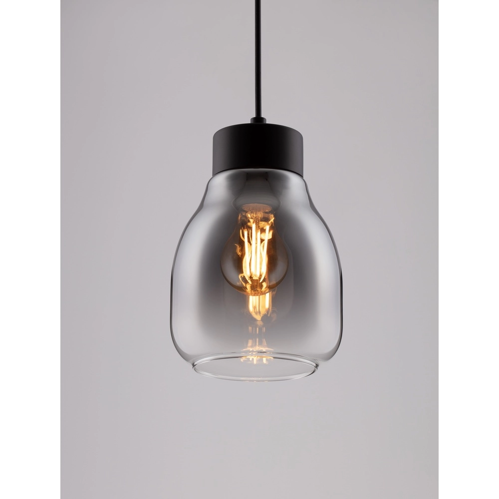 Pendant lamp Blacu 1-light zwrt Lyora 5212017447470