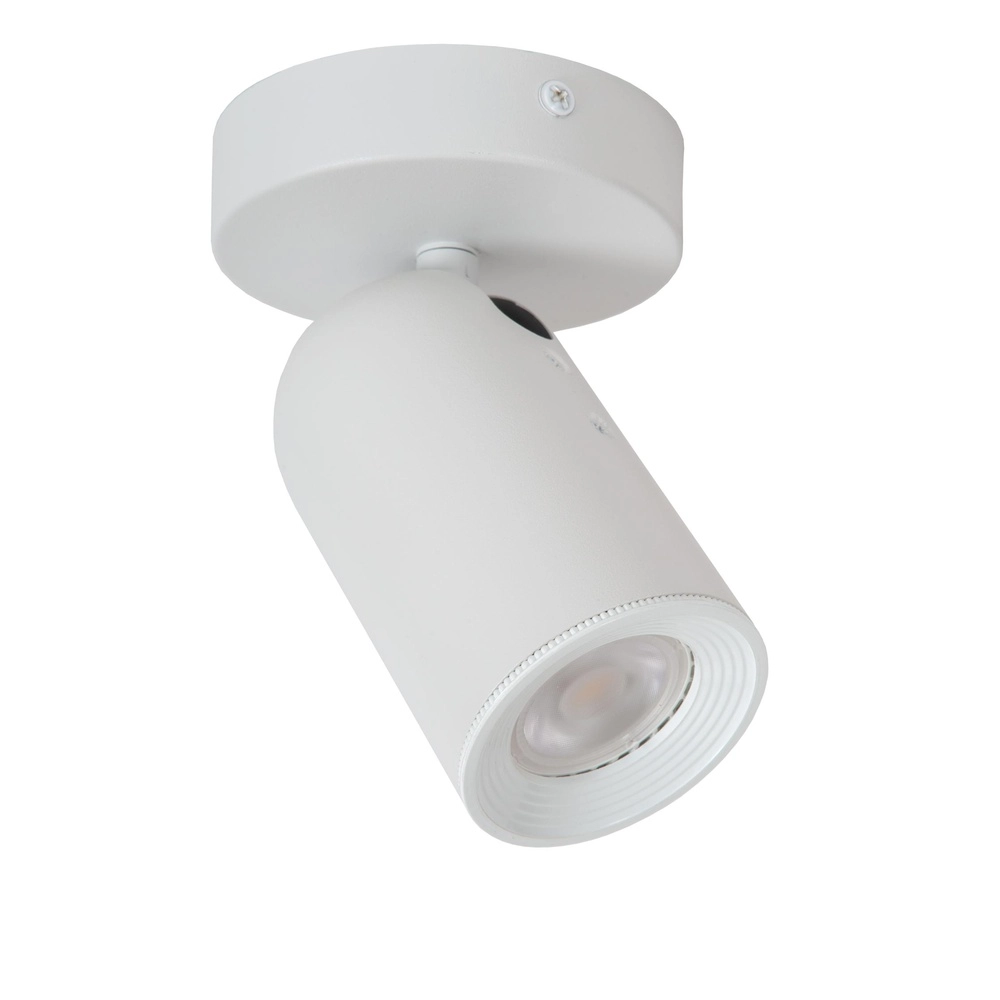 Ceiling spotlight Punch only white