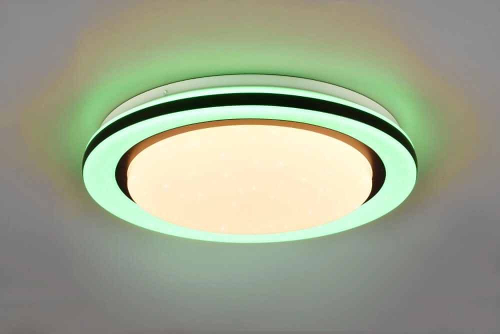 White ceiling lamp Cartida white with black Trio 4017807561722