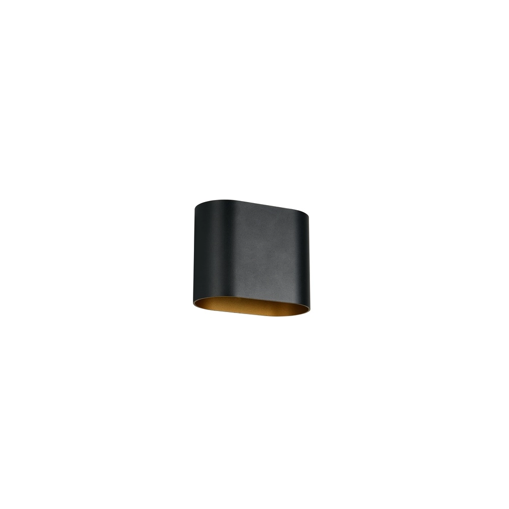 Surface-mounted spot Alani black with gold Trio 4017807656923