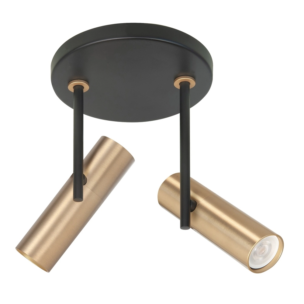 Black spot Trend with brass 2-light round