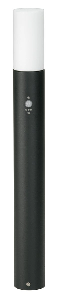 Path lighting Cyl with motion detector