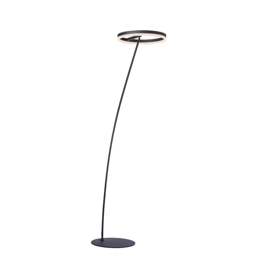 Anthracite floor lamp Titus modern Paul Neuhaus 4012248357637