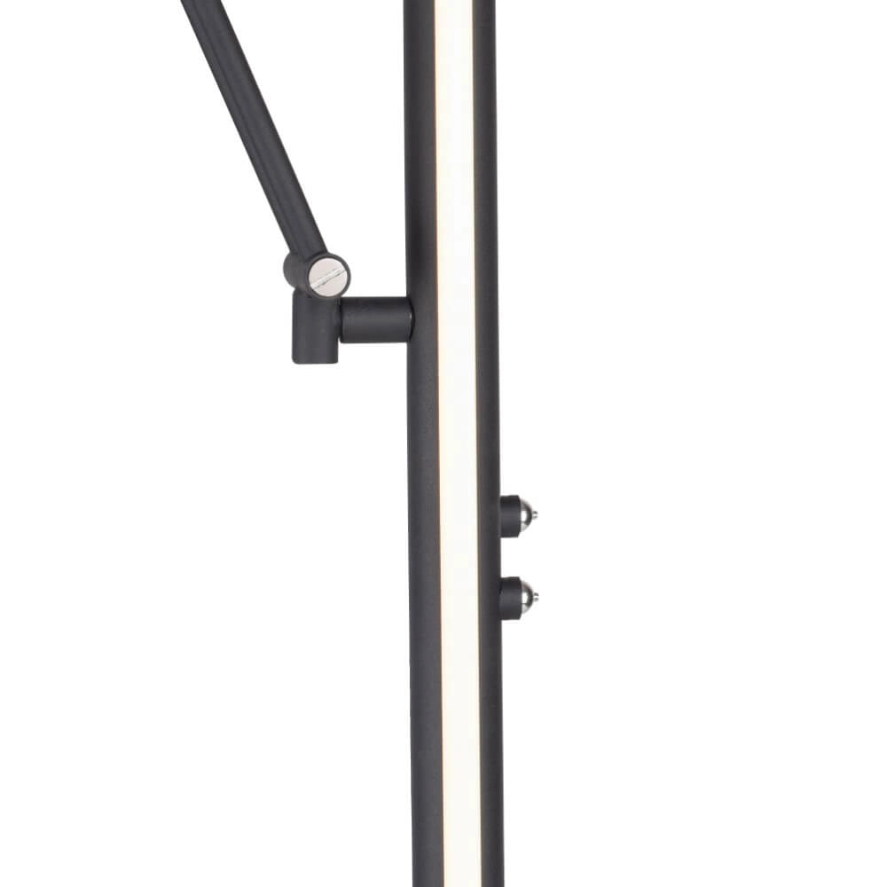 Floor lamp Pure Mutil anthracite Paul Neuhaus 4012248364345