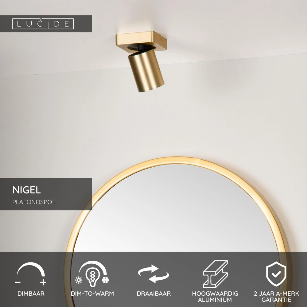 Ceiling spotlight Nigel Gold Lucide 5411212092939