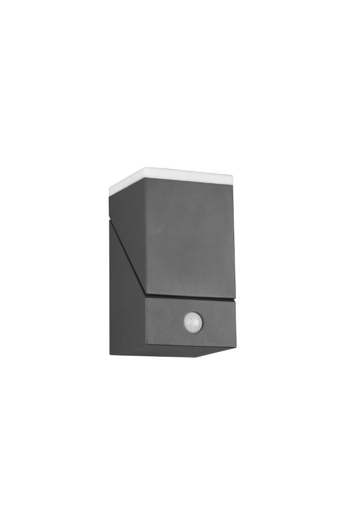 LED wall lamp Avon with motion sensor Trio 4017807529135