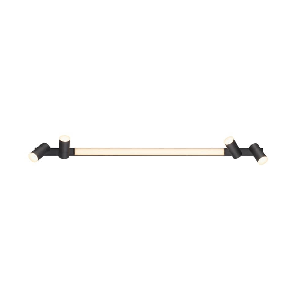 Sleek ceiling lamp Pure Lines Spot anthracite Paul Neuhaus 4012248366349