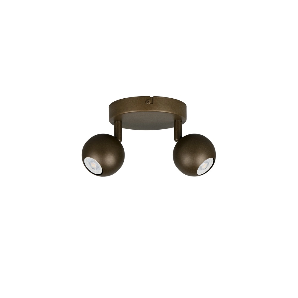 Surface-mounted spot Enaro 2-light platinum