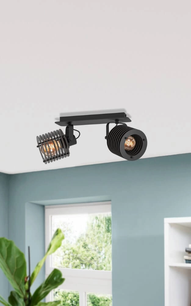 Industrial ceiling spotlight Segovia 2-light Eglo 9008606267156