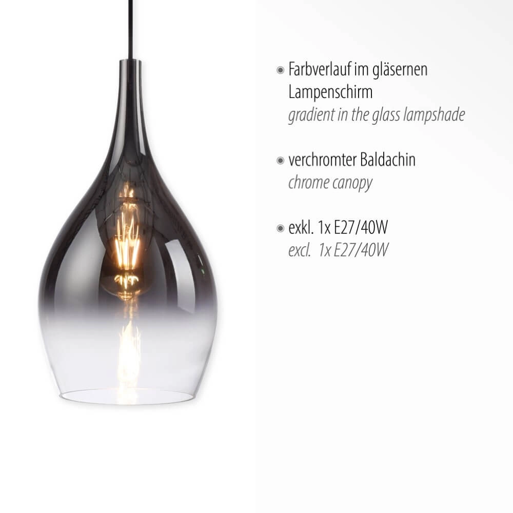 Modern pendant lamp Pilua 1-light Paul Neuhaus 4012248366080