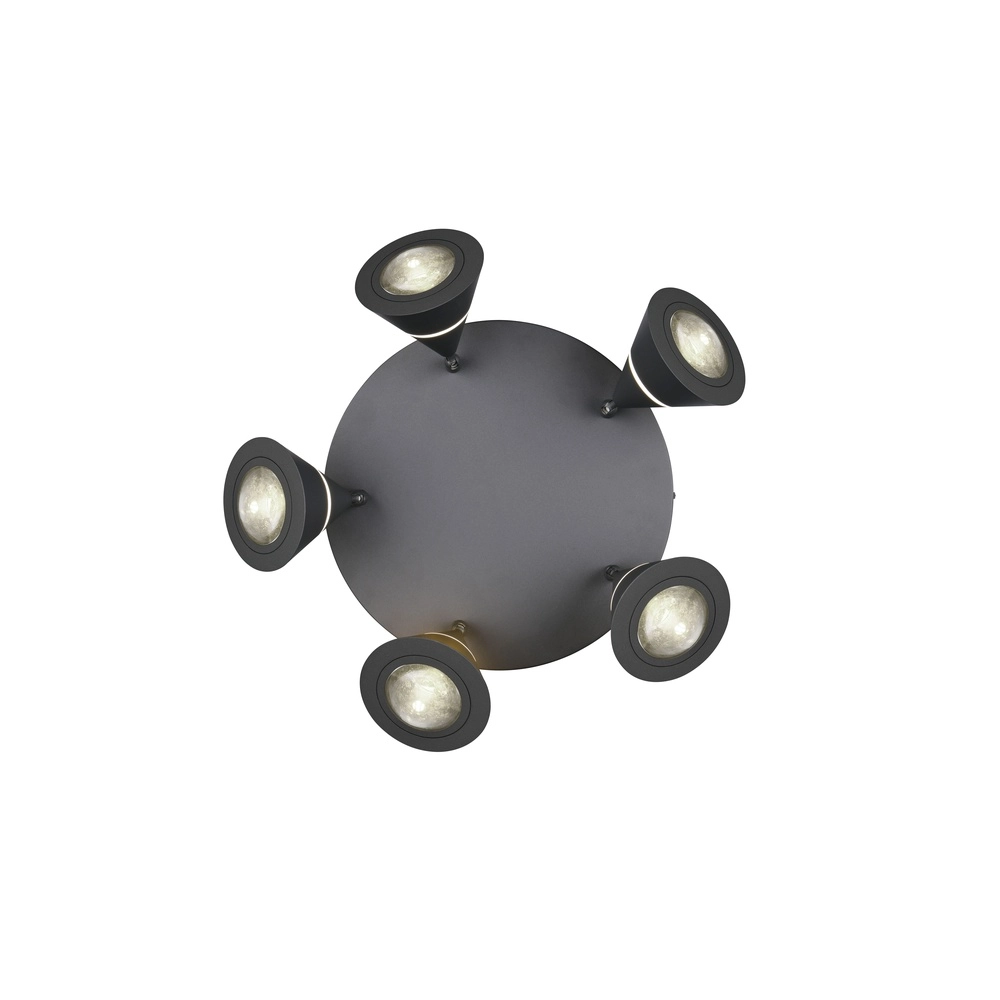Ceiling lamp Romeo black Trio 4017807670417