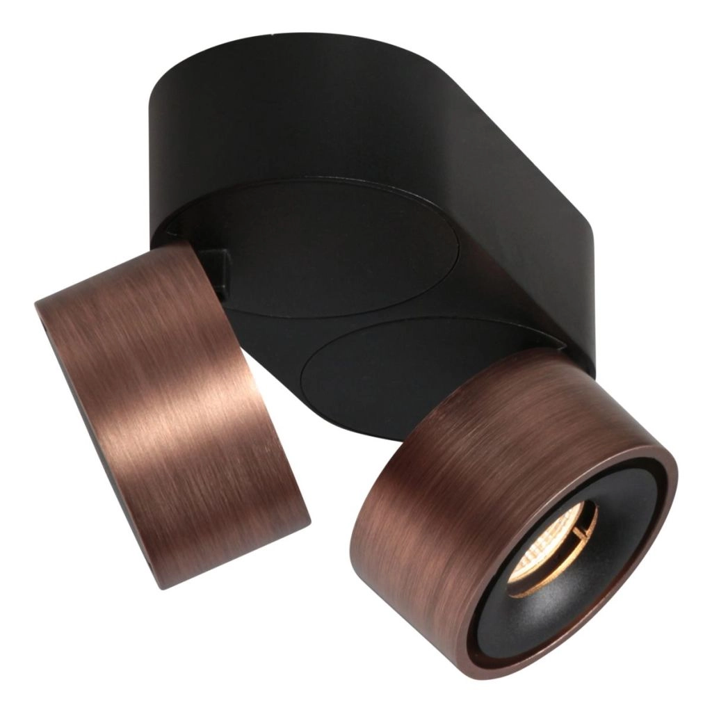 Sleek surface-mounted spot Fez Double bronze Steinhauer 8712746187250
