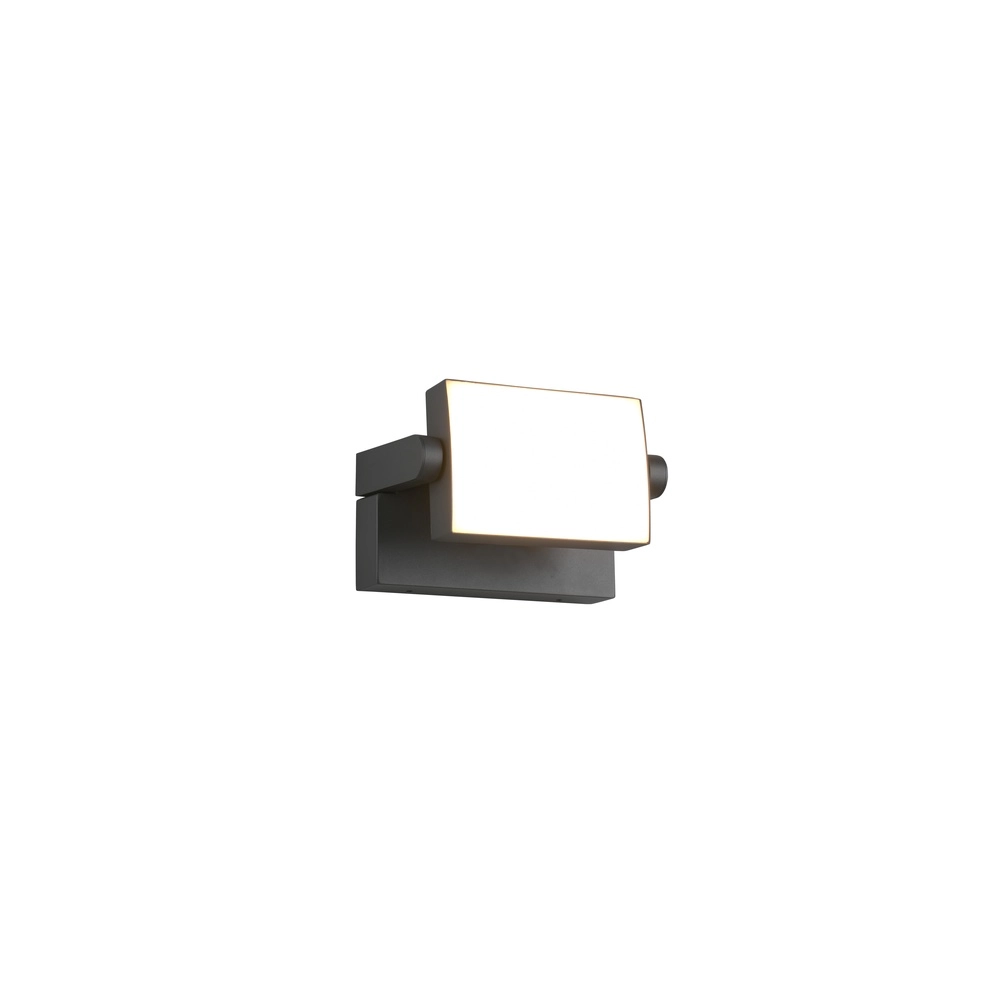 Directional wall lamp Kansas anthracite Trio 4017807603569