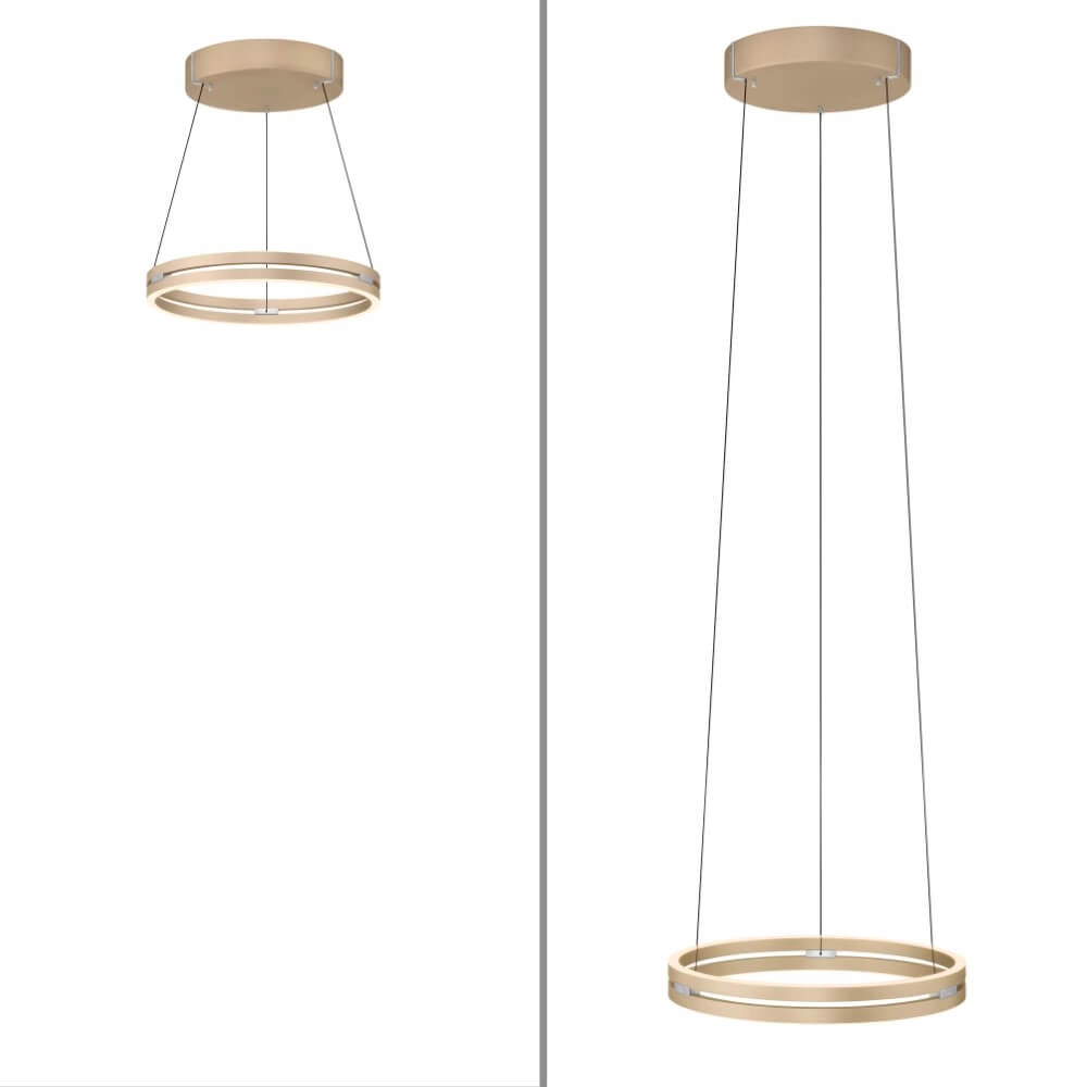 Sleek hanging lamp Pure E-Loop brass Paul Neuhaus 4012248372265