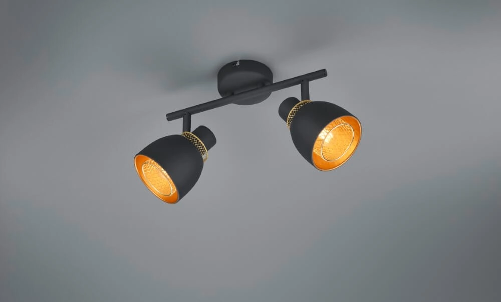 Black ceiling lamp Punch 2-light Trio 4017807567380