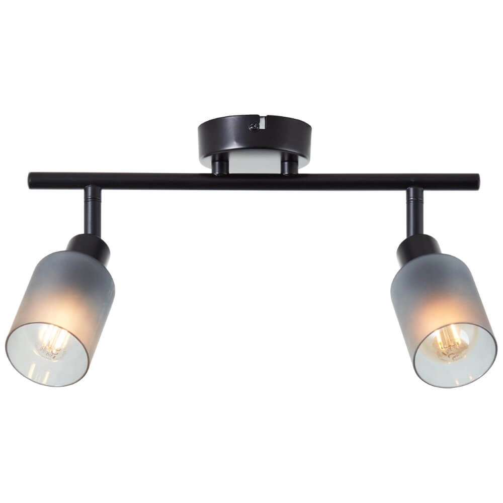 Black ceiling lamp Loralie 2-light