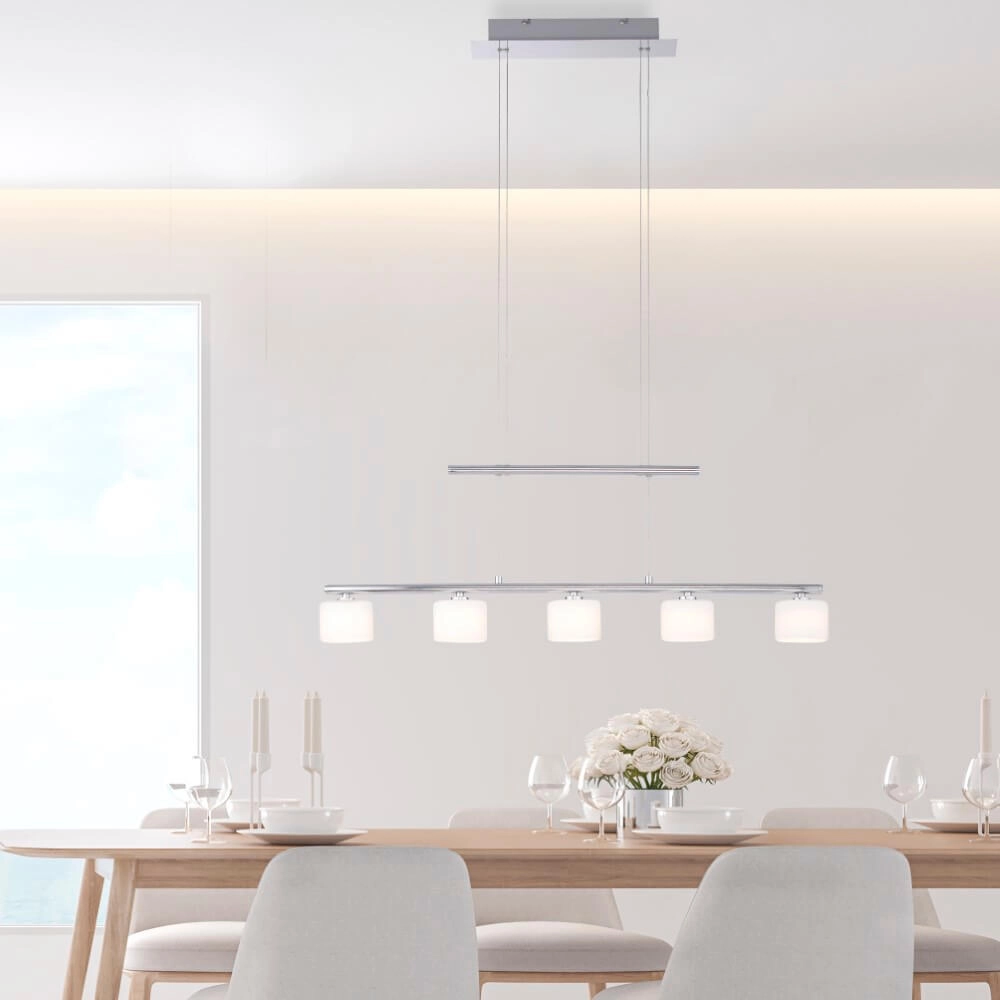 5-light pendant lamp Hydra metal Paul Neuhaus 4012248364963