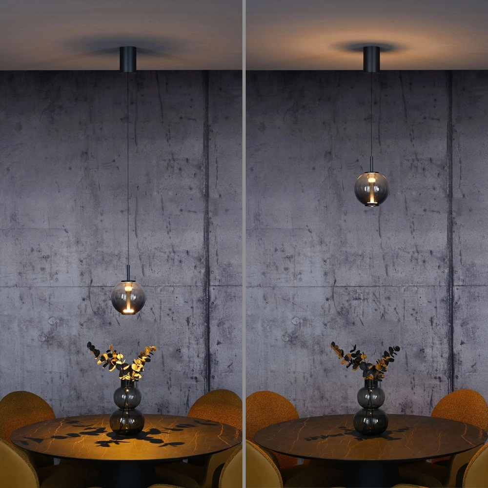 Led pendant light Pure Infinity with smoke glass - Ø 18cm Paul Neuhaus 4012248399033