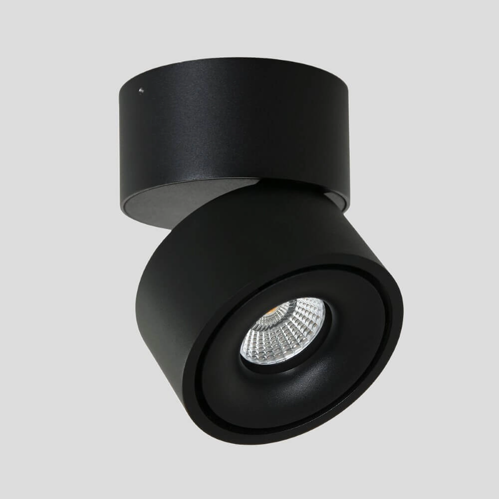 Sleek surface-mounted spot Fez Black black Steinhauer 8712746132496
