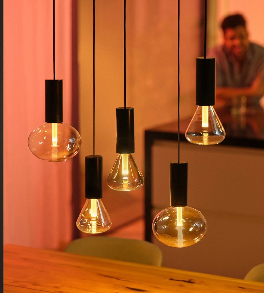 Philips design pendant lamp above wooden table
