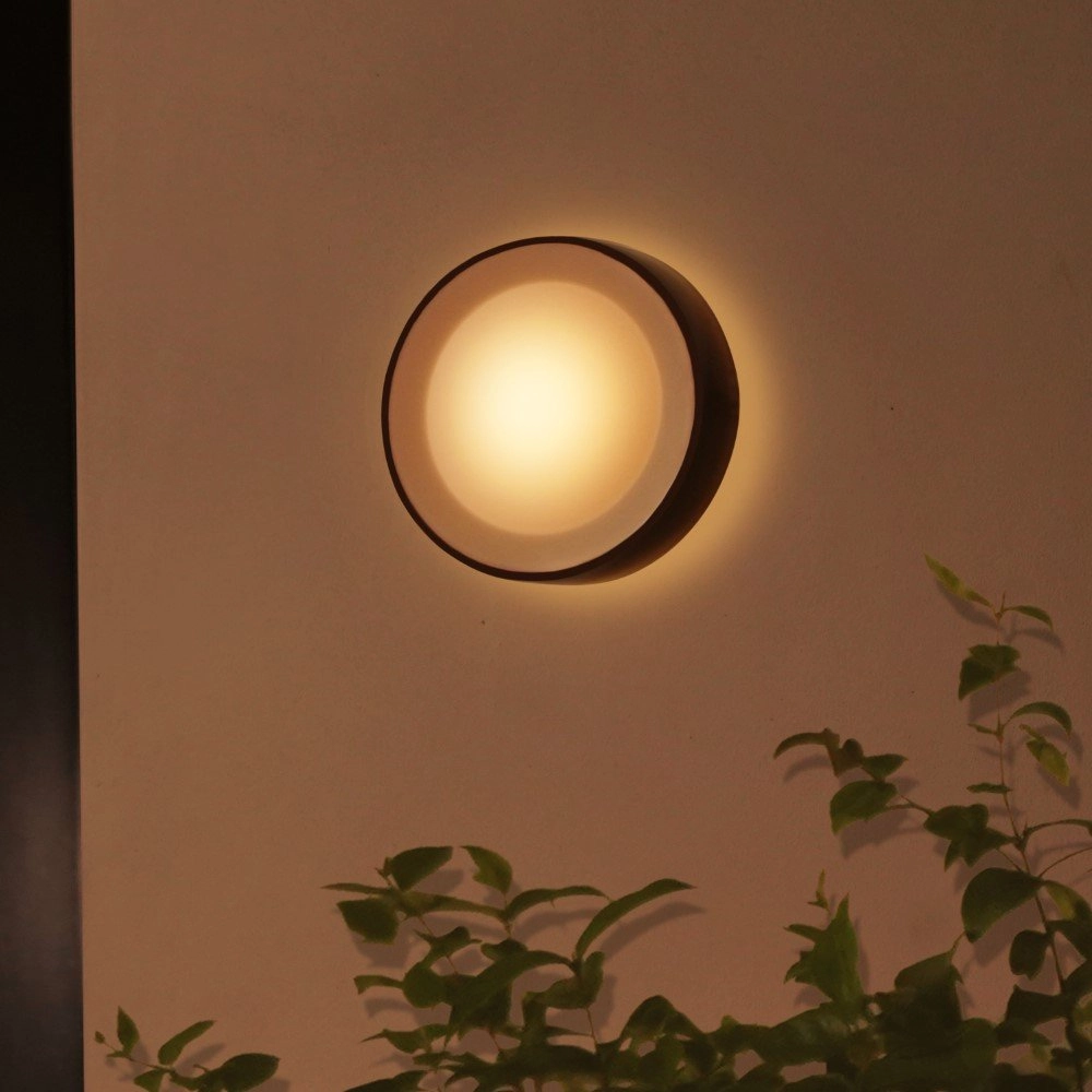 Round outdoor lamp Hue Daylo black Philips 8718696174401