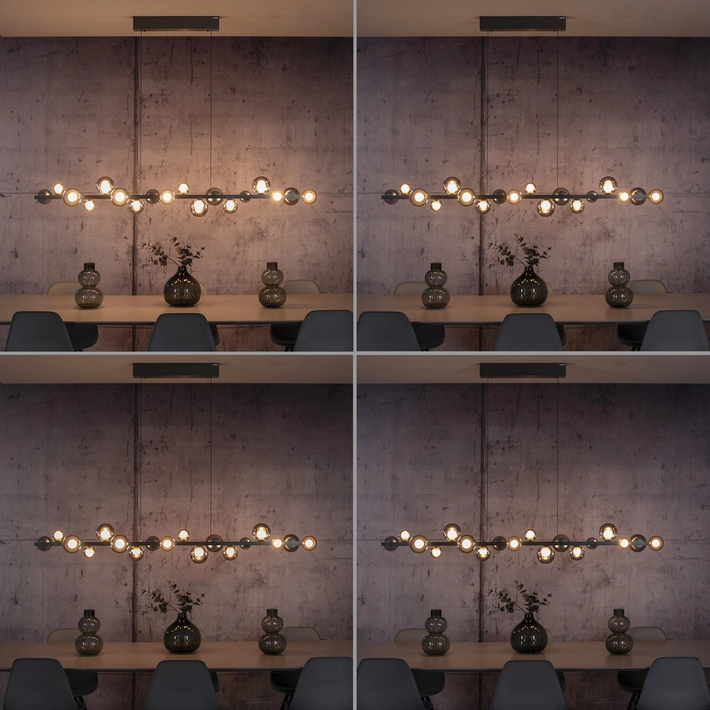 Dining table pendant lamp Pure E-Popup 18L - with smoke glass Paul Neuhaus 4012248396452